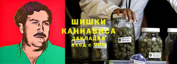 МДПВ Горнозаводск