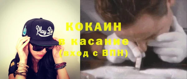 твердый Горняк