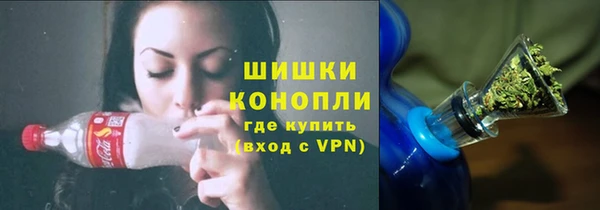 МДПВ Горнозаводск