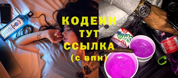 твердый Горняк