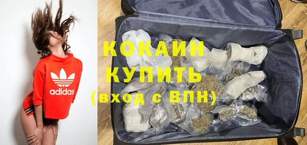 твердый Горняк