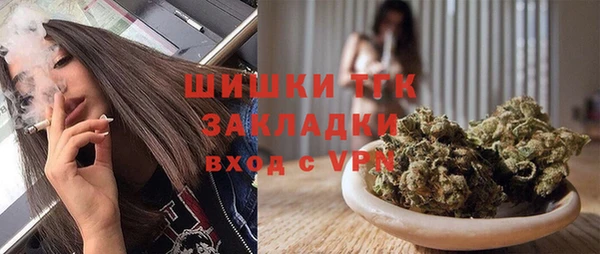 твердый Горняк