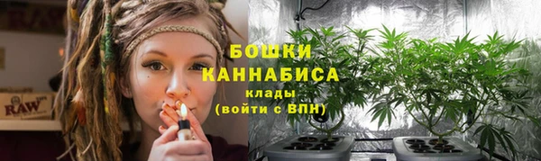 твердый Горняк