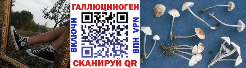Псилоцибиновые грибы Psilocybine cubensis  Купить где  Омутнинск 